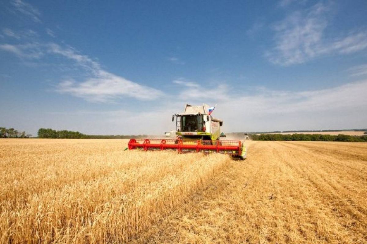 Кабардино-Балкарская республика наращивает объем продукции сельского хозяйства