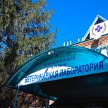 Председатель ЗСК Юрий Бурлачко прокомментировал инициативу Минсельхоза России