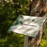 Колыма присоединится к «Саду Памяти»: миллионы деревьев в честь героев и живая память поколений