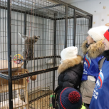 Активисты «Единой России» доставили помощь приюту для бездомных животных в Губкинском (ЯНАО)