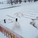 В Хайбуллинском районе активисты партии изучили готовность к паводку на реке Сакмар