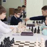 В Елецком округе прошло первенство по быстрым шахматам