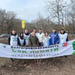 В Волгограде активисты партпроекта «Чистая страна» присоединились к эколого-патриотической акции «Сад Памяти»