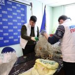 Почти 500 тысяч подарков передали для бойцов СВО участники акции «Единой России» «Тепло для Героя»