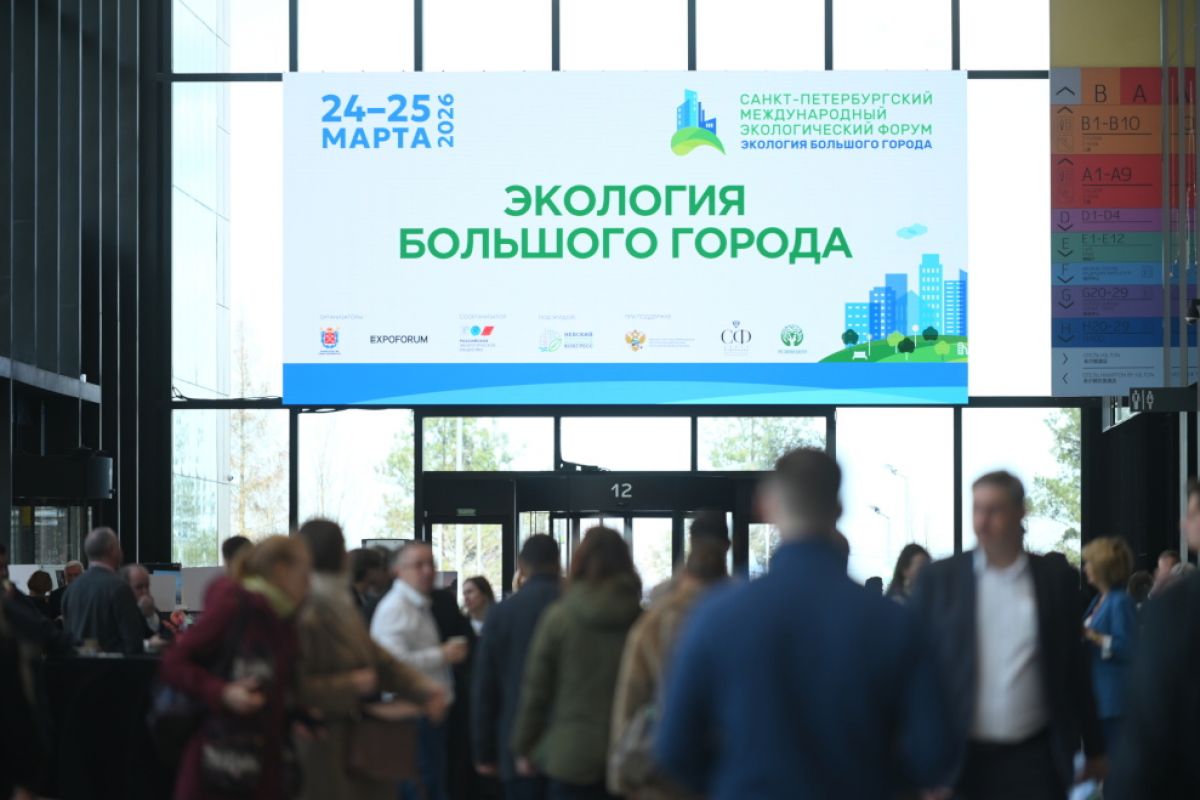 В Петербурге подвели итоги международного экологического форума «Экология большого города»