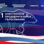 30 мая - последний день, когда избиратели могут сделать свой выбор на предварительном голосовании «Единой России»