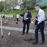 Единороссы высадили яблони в «Саду Победы» в Брянске