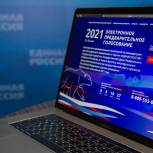 Новосибирцы голосуют на сайте pg.er.ru