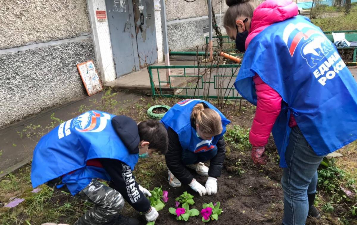 В Нижнем Новгороде проходит акция «Палисадники Победы»