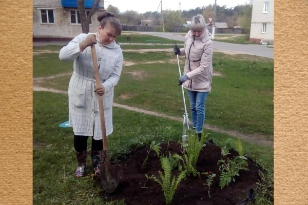 Гордеевский район присоединился к акции «Палисадник Победы»