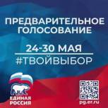 Регистрация избирателей на участие в предварительном голосовании «Единой России» продлится до 28 мая