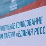 Жители Томской области активно голосуют на предварительном голосовании «Единой России»