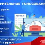 Общественники комментируют ход предварительного голосования в Ульяновской области