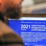 Более трех тысяч жителей региона приняли участие в предварительном голосовании «Единой России»