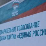 «Доставка голосования на дом» актуальна как никогда