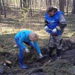 Жители Новосибирской области высадили больше 4000 деревьев – в память тех, кто не вернулся с фронта