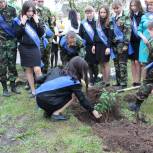 Сернурские партийцы и школьники в рамках акции высадили деревья