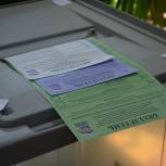 В Амурской области открылись счетные участки для проведения предварительного голосования