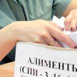 Анатолий Выборный: «В 2020 году в ведомстве находилось 1,4 млн исполнительных производств о взыскании алиментных платежей на 209 млрд рублей»