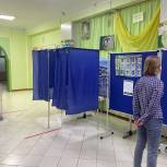 В Башкортостане предварительное голосование прошло без нарушений