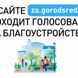 Жители Иркутска голосуют за проекты благоустройства на 2022 год