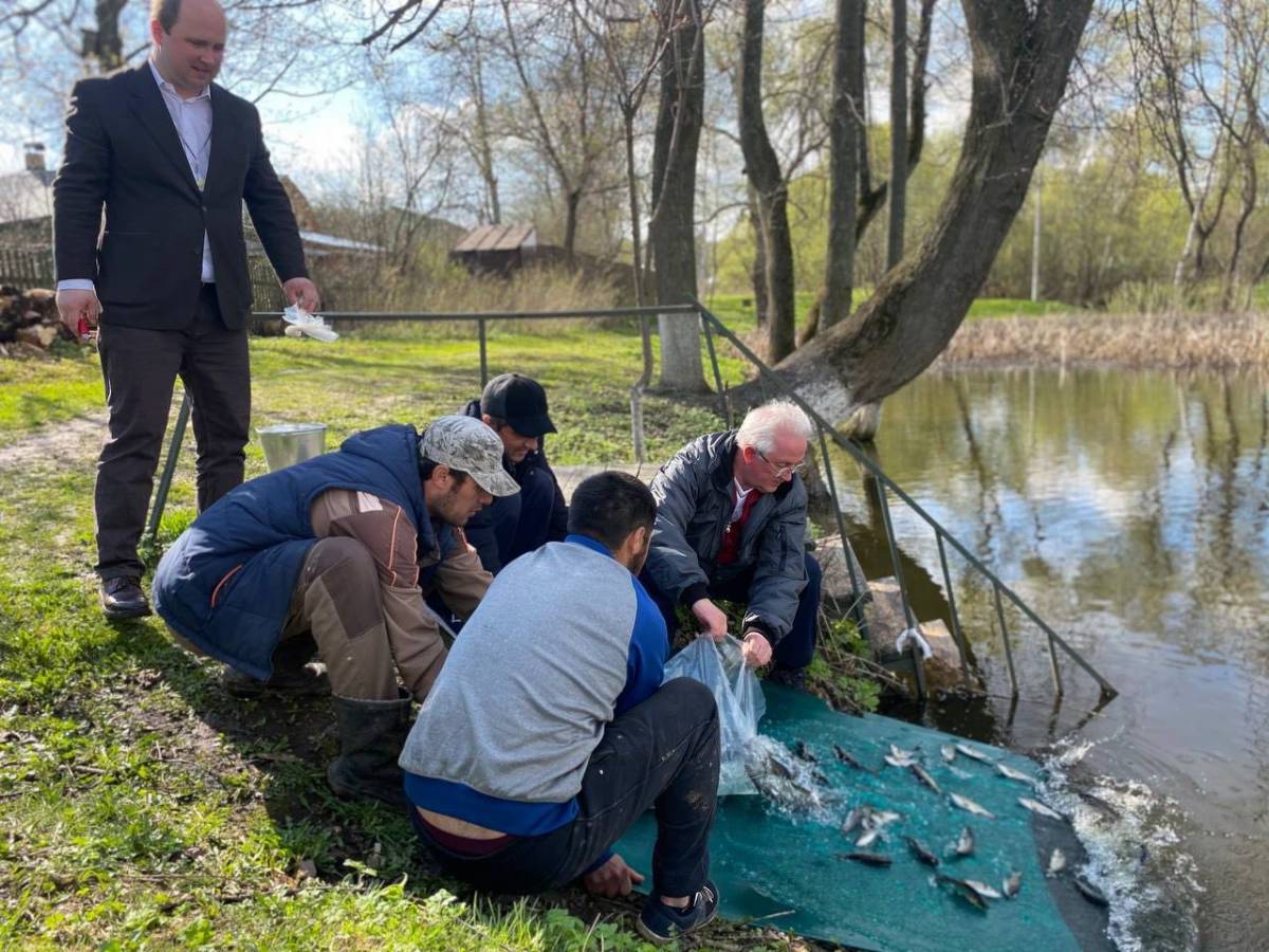 Одинцовские партийцы продолжают благоустройство пруда в деревне Солманово