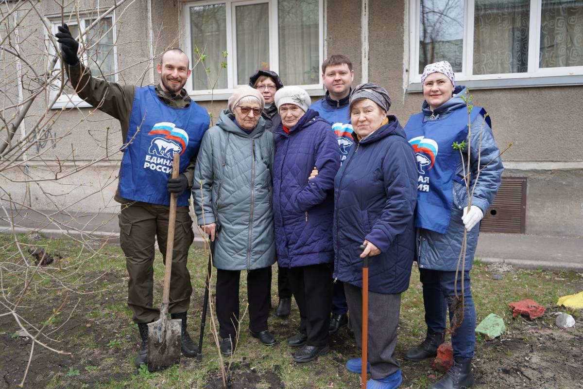 Партийцы Кировского района Красноярска посадили сирень у дома ветеранов