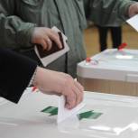 «Единая Россия» получила 100% мандатов на местных выборах 30 мая