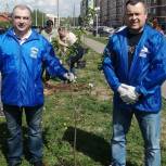 Наро-Фоминские единороссы провели патриотическую акцию «Лес Победы»