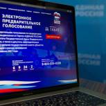 До окончания регистрации избирателей на предварительное голосование «Единой России» остаются сутки