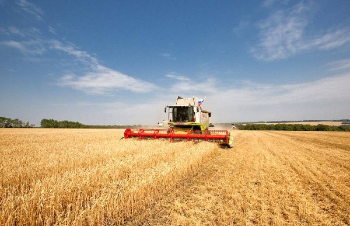 В республике вырос объем производимой сельхозпродукции