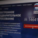 Удобство электронного предварительного голосования оценили донские журналисты