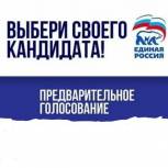 В электронном предварительном голосовании «Единой России» приняли участие более 5,9 млн человек