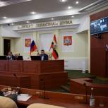 Курские депутаты от «Единой России» обсудили выполнение предвыборных программ