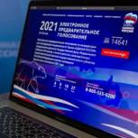 В Мурманской области свои голоса за кандидатов отдали 18% избирателей