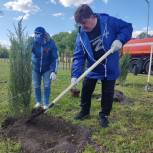 В Белгородской области активисты и сторонники партии заложили Сад Памяти в рамках Международной акции