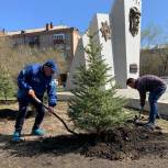 Депутат Виталий Рыльских организовывал высадку хвойных деревьев