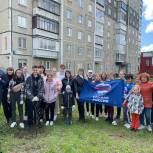 Миасские волонтеры «Единой России» высадили липовую аллею