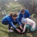В Барабинске высадили сосны в память о погибших в годы Великой Отечественной войны