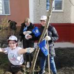 В Снежинске провели субботник в рамках акции «Цветущий май»