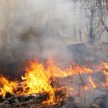 «Единая Россия» добилась ужесточения ответственности за лесные пожары