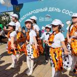 «Единая Россия» провела День соседей в муниципалитетах Дагестана