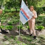 Сторонники «Единой России» высадили более 100 тысяч  деревьев в память о погибших Героях