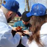 Активисты «Единой России» раздают жителям Чувашии георгиевские ленты