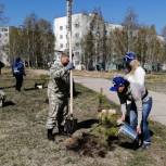 В Амурской области единороссы присоединились ко Всероссийской акции «Сад памяти»