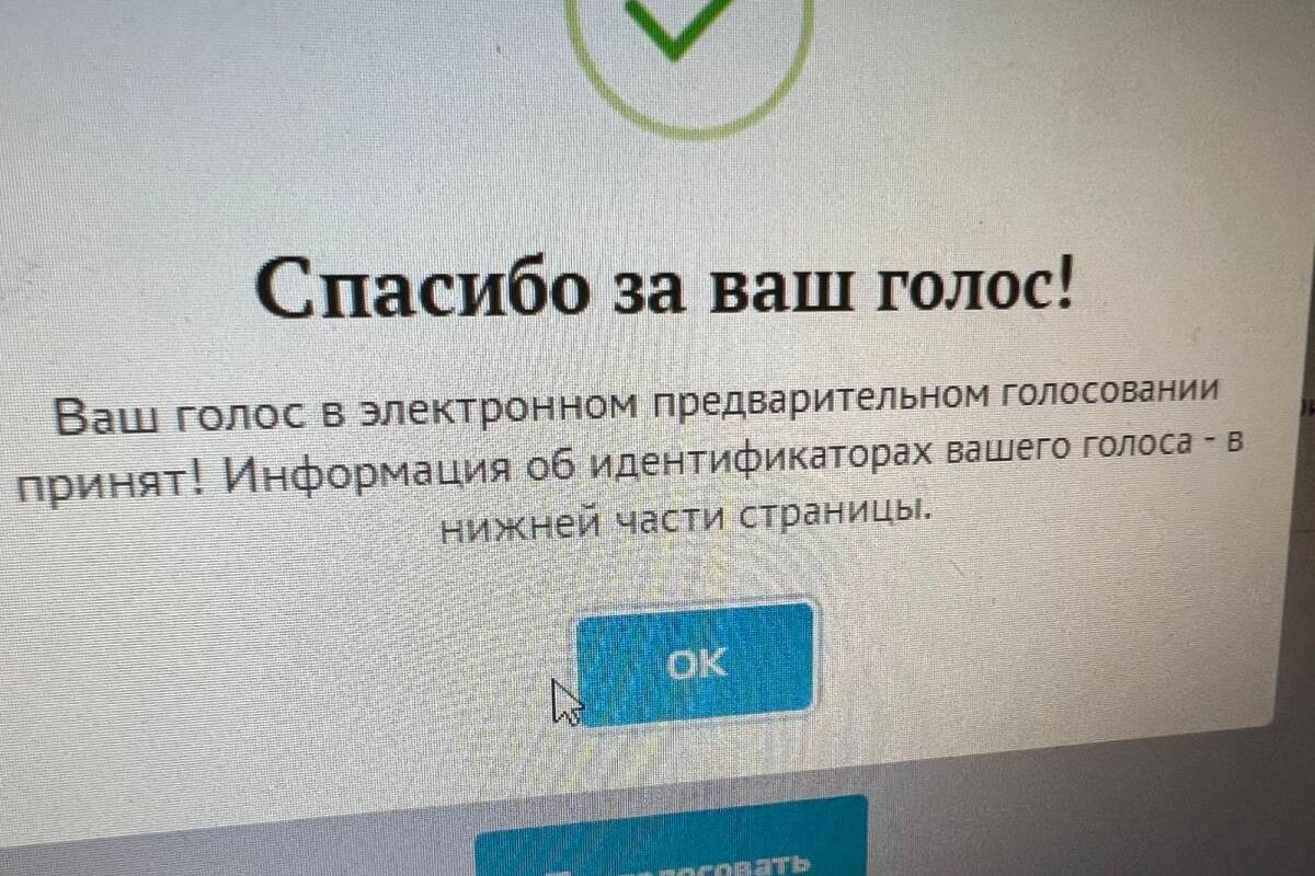 Подтверждение голосования. Скриншот предварительного голосования. Скриншот о голосовании на праймериз. Скриншот голосования за единую Россию. Скриншот голосования на праймериз Единая.