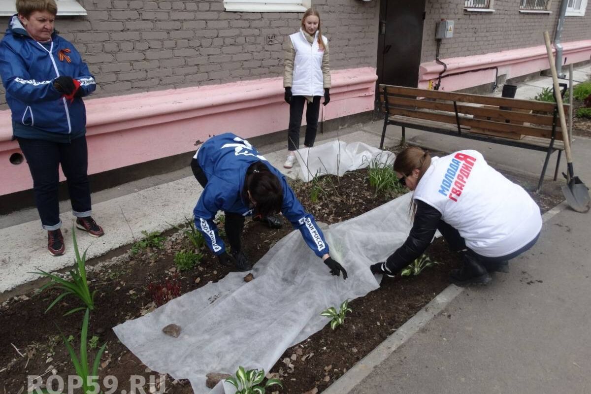 В Прикамье проходит акция «Палисадник Победы»