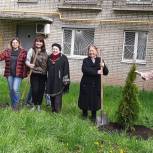 Единороссы юго-запада Москвы высадили цветы и деревья под окнами ветеранов войны