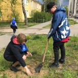 «Сад памяти» высадили в городе Навашино