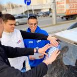 Акцию по раздаче наклеек на авто с символикой «Z» организовали молодогвардейцы в Иркутске